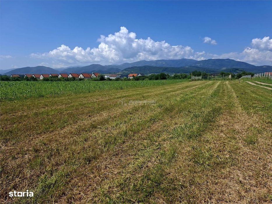 Teren extravilan de vanzare Talmaciu