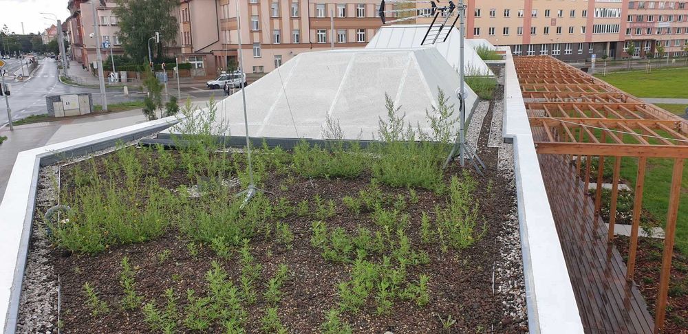 Hidroizolații, construcții și renovări – Experiență internațională