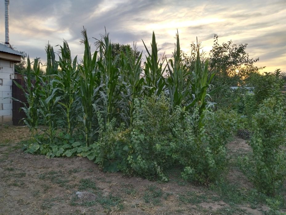 Продам дом 12 соток земли