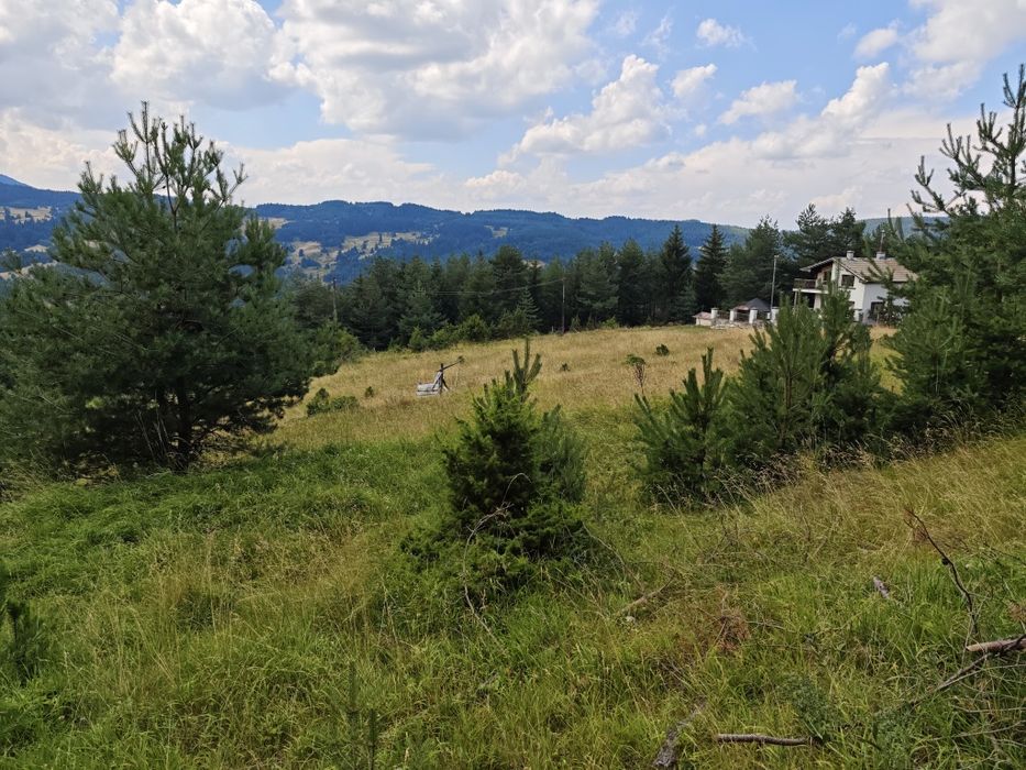 Парцел в село Лилково