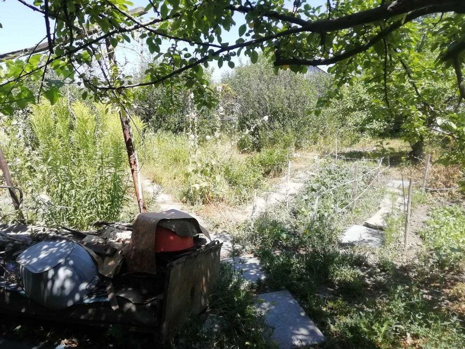 Продам дачу 11 соток в Согре