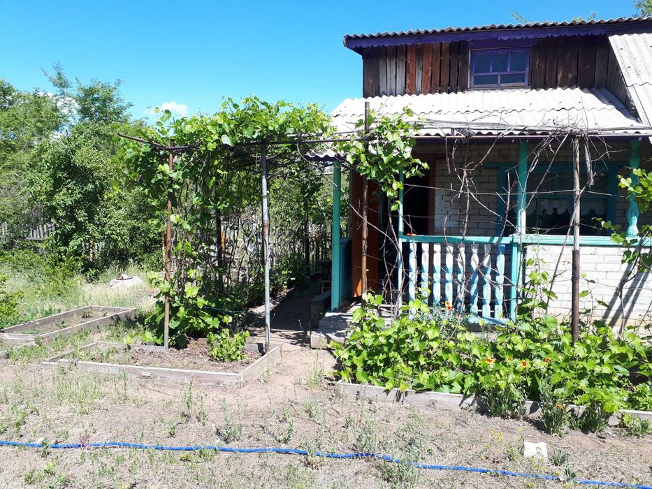 Продам дачу. сад Яблонька