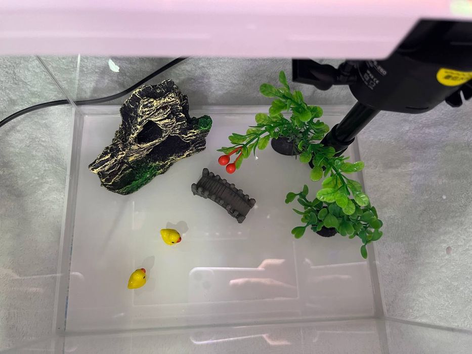 Аквариум HQC 240