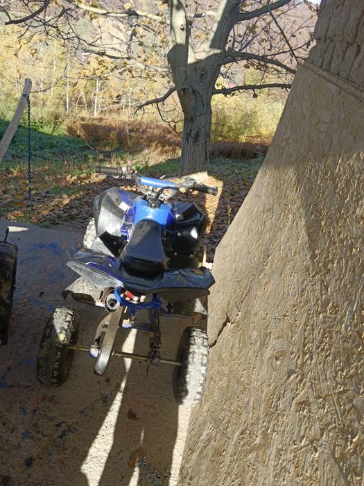 De vânzare ATV de 49