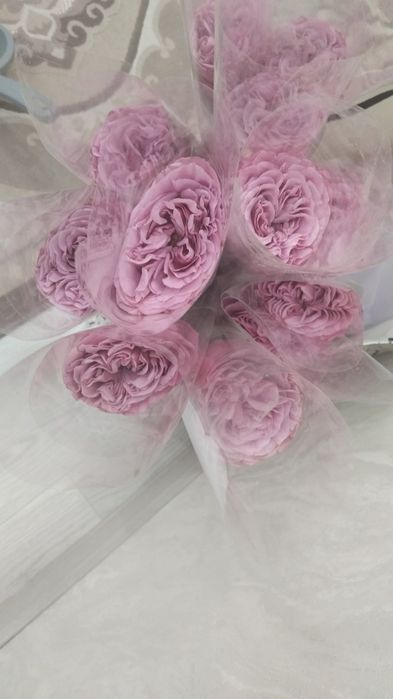 Раушан гүлдері сатылады