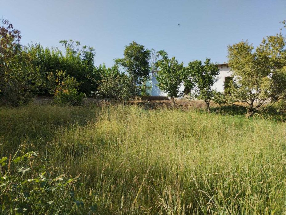 Hovli sotiladi 7 sotix.