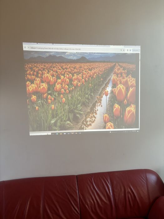 Închiriez videoproiector BenQ/ Videoproiector de inchiriat Oradea