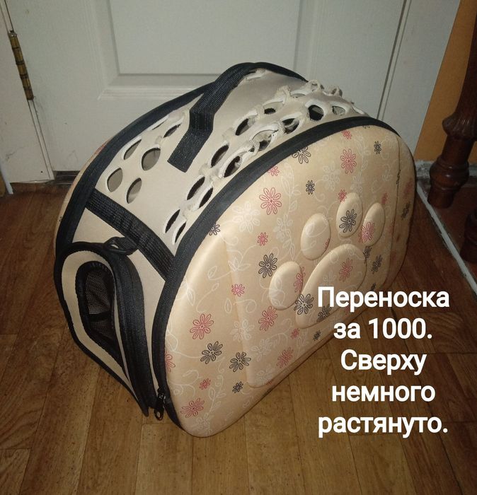 Переноска для кошки за 1000