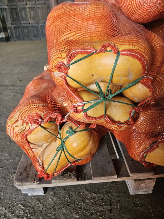 Аскабак бар 90тенге