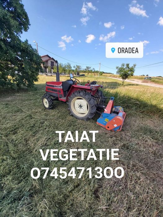 Defrișat taiat iarba  vegetație spini mărăcini .
