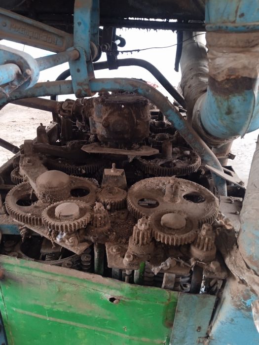 Саветки Камбаин Сырочна