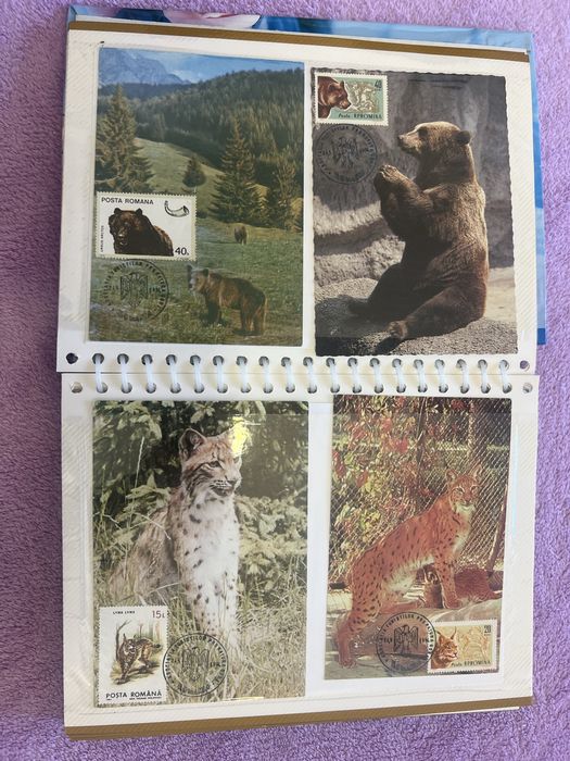 Album Maxime cu animale