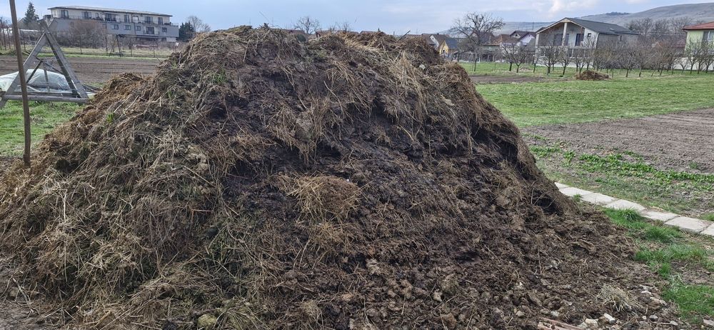 Vând gunoi de grajd