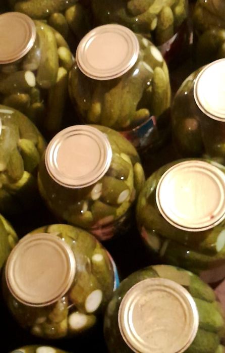 Продам огурцы и другое