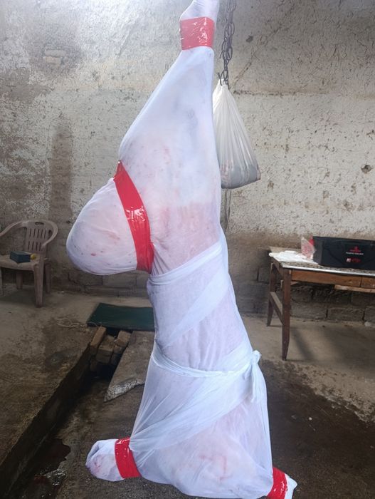 Qoylar qoy Qõchqorla sotladi gõshtini kilosga 135.000 mingdan  aksiya