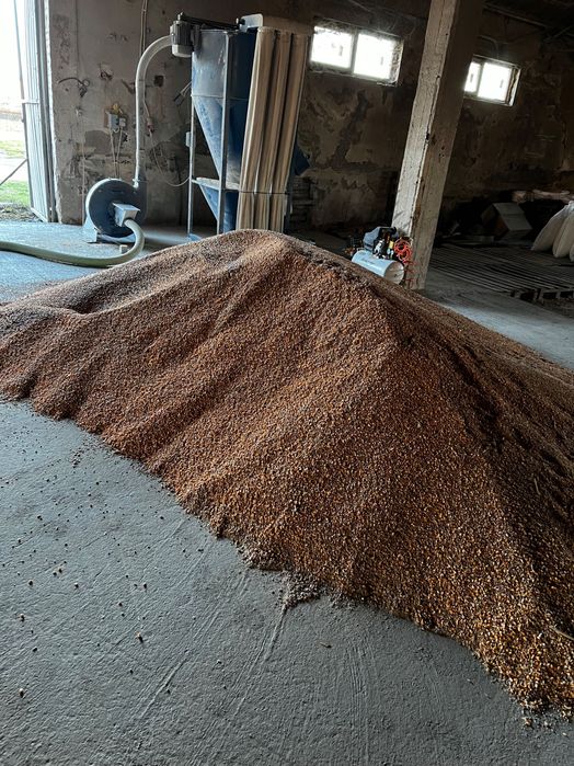 Vând furaj nutritiv pentru animalele tale