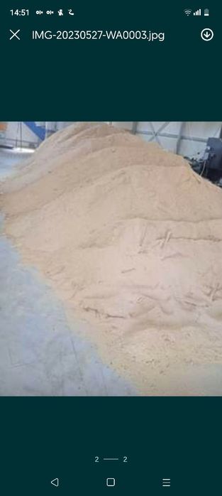 Rășinoase de brad și molid