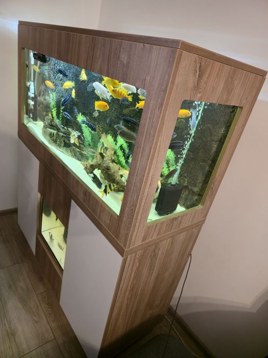 Acvariu pesti 300 litri