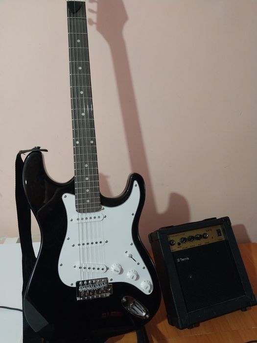 Электрогитара Terris
