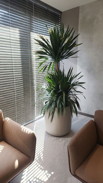 Уход за растениями