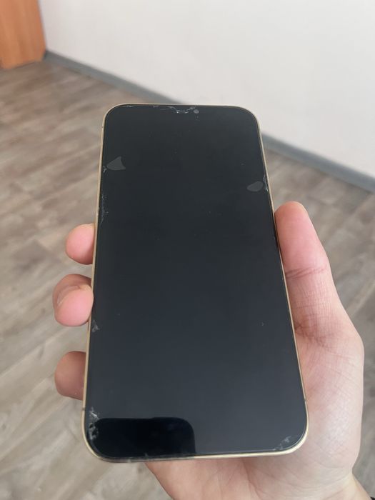 iphone 12 pro max 256gb