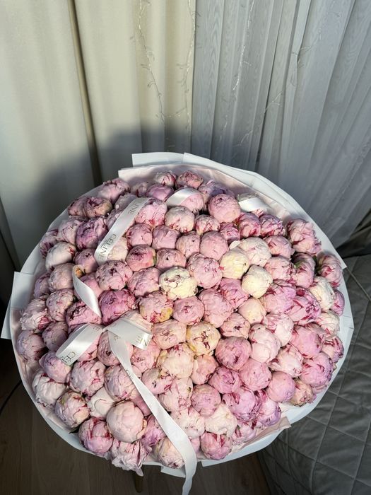 букет пионов 171шт