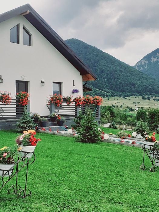 Casa de vânzare Bran Tohanita