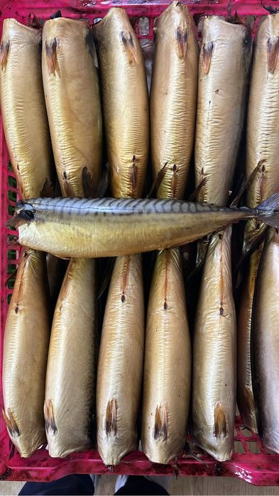 Скумбрия селедка