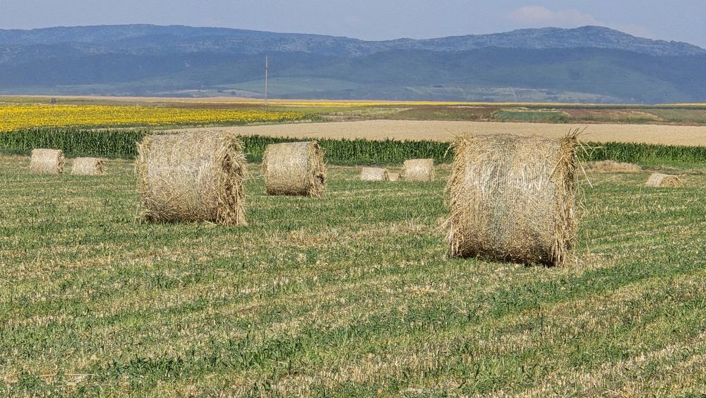 Baloțu ovăz cu lucernă