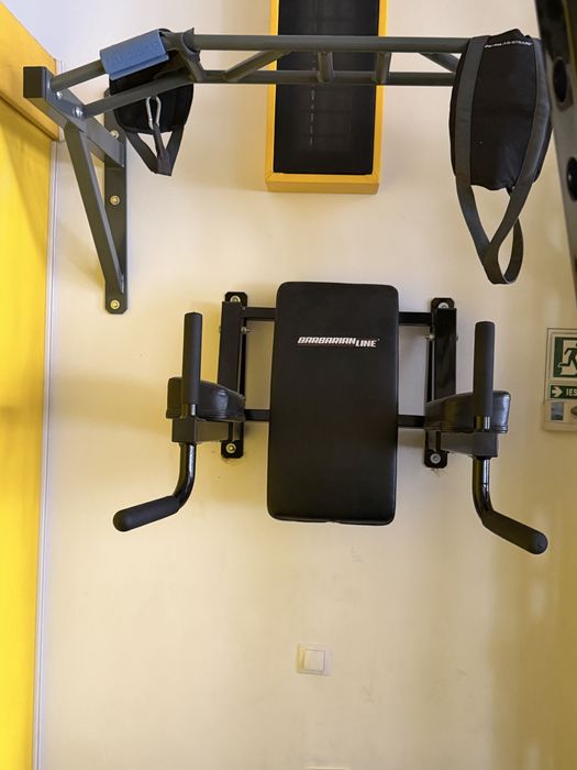 Vand set spaliere din fier,bara tractiuni si ab/dip wall mount