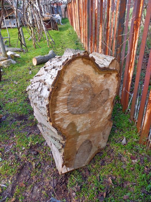 Големи орехови трупи