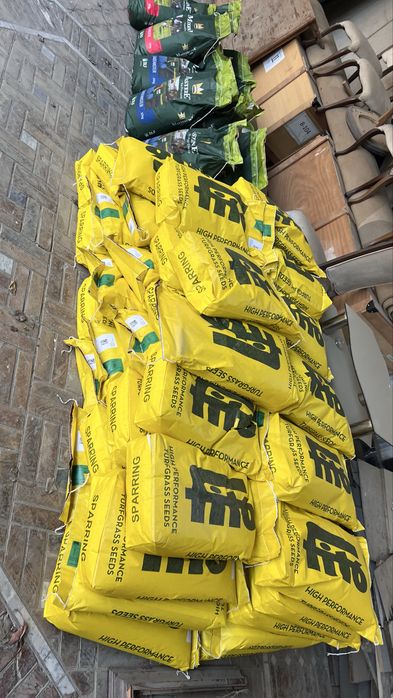 Газон посев семян