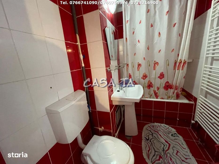 Apartament 1 Camera si dependinte, Decomandat, Strada Constructorilor,