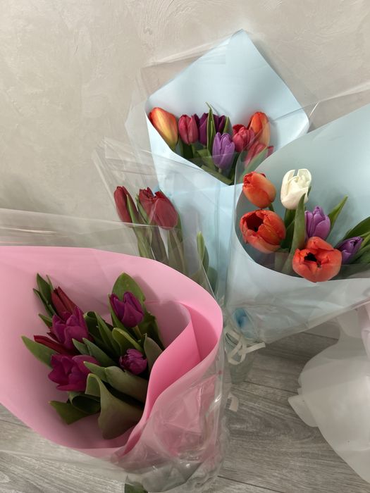 тюльпаны продаю сегодня