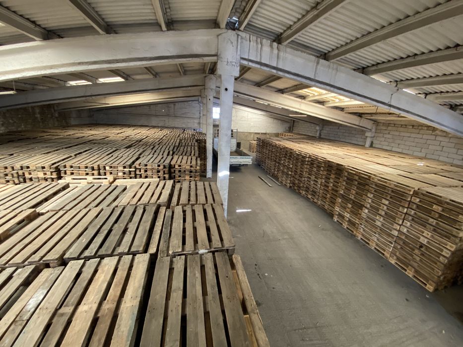 Paleti lemn euro epal 800x1200