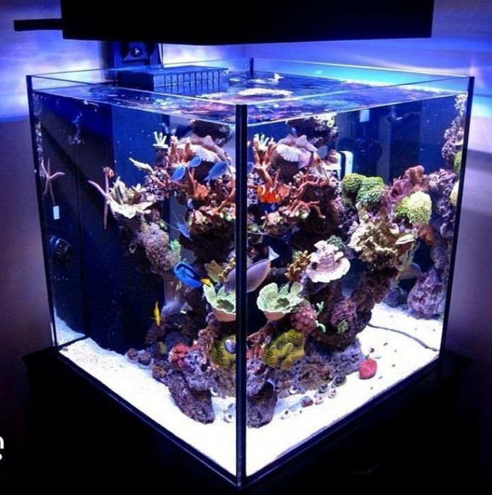 Акварим ясаш ремонт хизмати