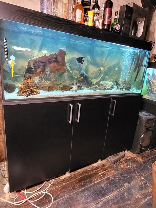 Vand acvarii intre 250l si 550l,complet echipate