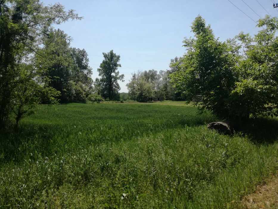 Teren intravilan, construibil, Vladimir-Andreesti, jud.Gorj 5390mp