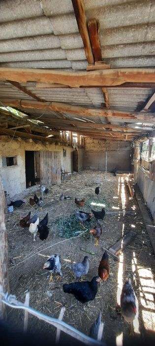 Продается дом Толе би. ул Жидебая 58