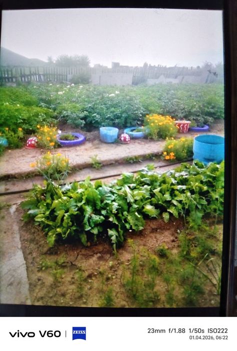 Продам дачу общество Каучук