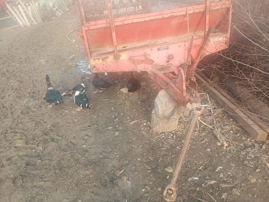 Vând mig perfect funcțional