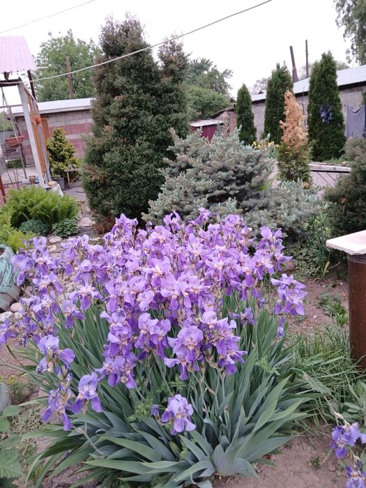 продам дом на 10 сотках