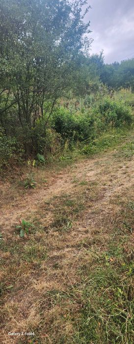 Продава се Парцел в Своге - 400 кв.м за 29 €/кв.м - Снимка #1