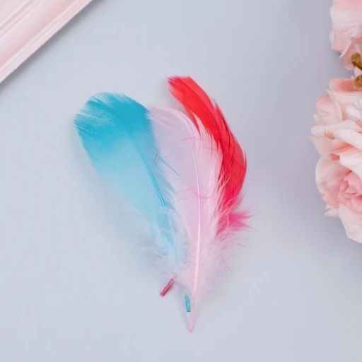 Перья для праздника, творчества