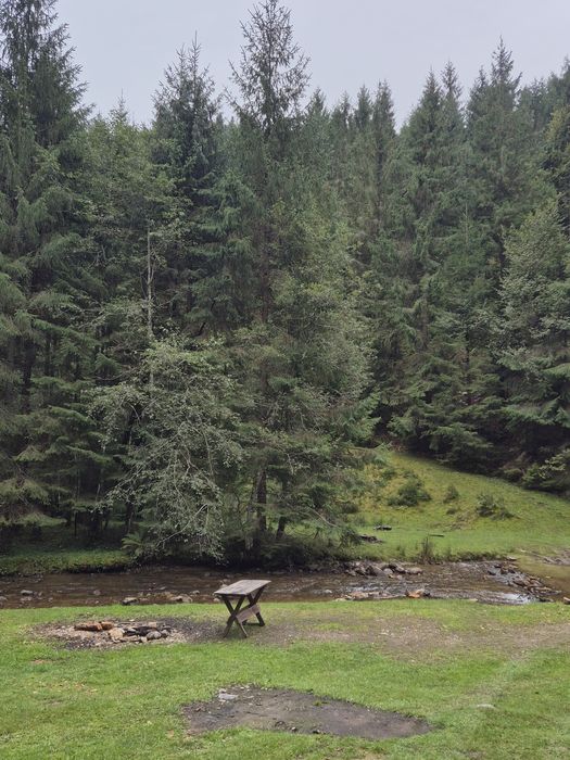 Teren de vis Valea Ierii