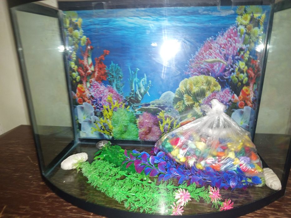 Аквариум 40 литров