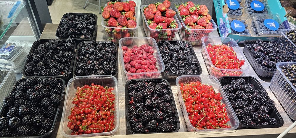 Продам пластмасовые лотки,для клубники и ягод