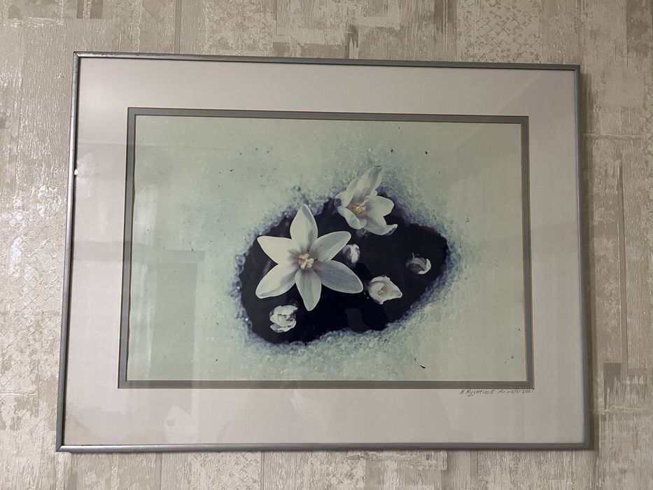 Картины настенные