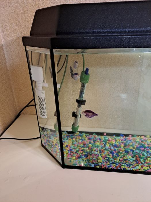 Аквариум 50 литров
