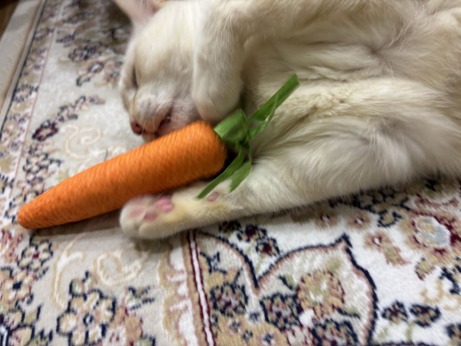Набор игрушек для кошек